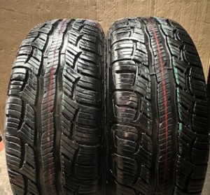 225 65 R 17 102H M+S BFGoodrich ADVANTAGE T/A SPORT 7.5mm+ S256 DOT2920